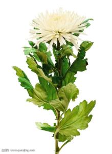 ҹȨͳһǼ202111ʵʩ